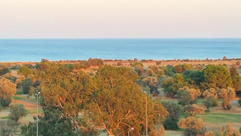 Celadi Vista أفانتو المظهر الخارجي الصورة